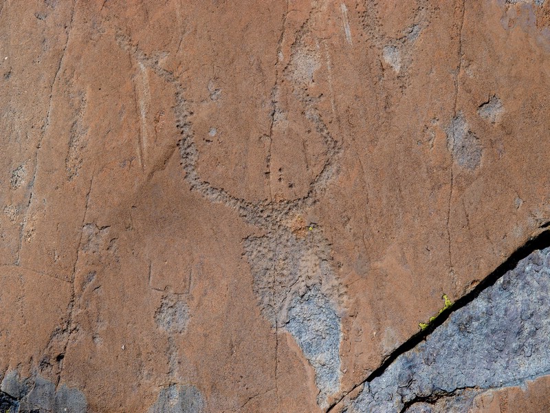 Bronze Age rock carvings