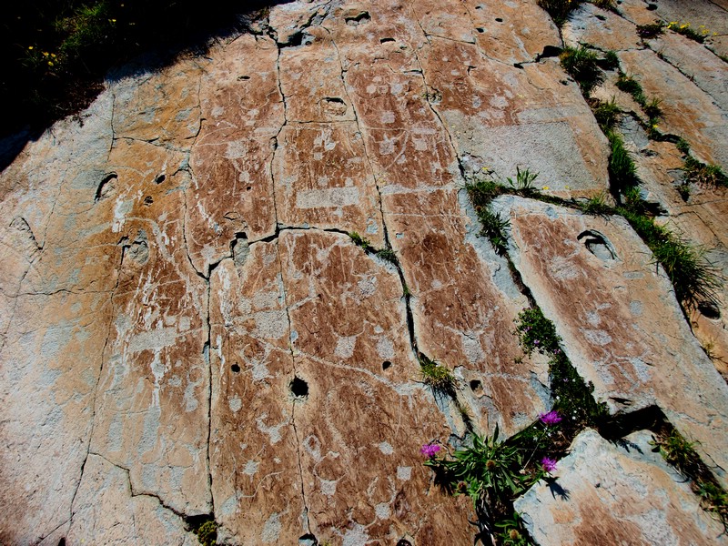 Bronze Age rock carvings